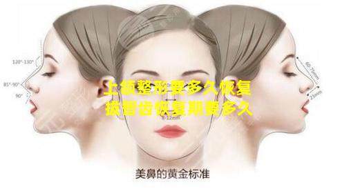 上颌整形要多久恢复 拔智齿恢复期要多久